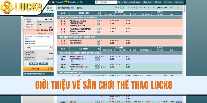 Giới thiệu về sân chơi thể thao LUCK8